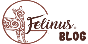 Blog Felinus